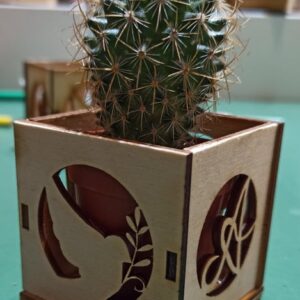 bomboniera personalizzata cubo in legno porta piantine